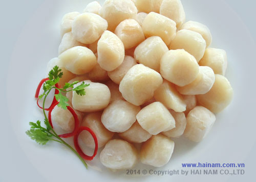Queen scallop meat<br />Latin name: Chlamys opercularis