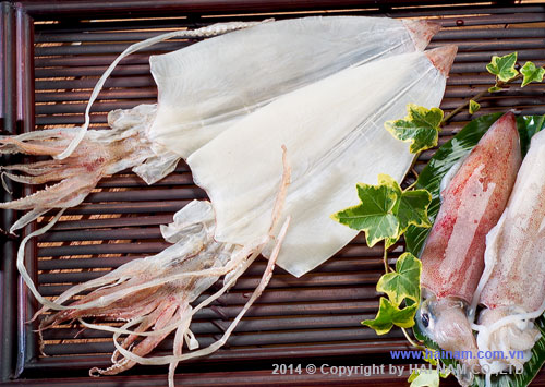 Roasted  skinless squid (Yakiken)<br />Latin name: Loligo chinensis <br />Size: 5S, 4S, 3S, 2S 