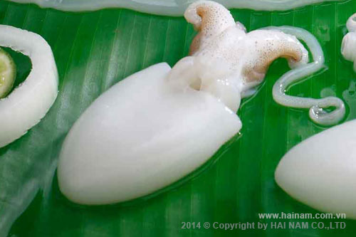 Item: Whole cleaned baby cuttledfish<br />Size: 10-20, 20-40, 40-60, 60 up pcs/kg<br />Latin name: Sepiella lycidas